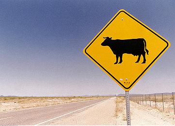 《我的世界》PS5基岩版原生版本测试中 运行更高效